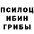Псилоцибиновые грибы GOLDEN TEACHER Evgeniya Mazurina
