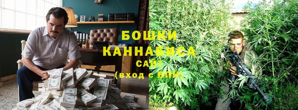 гидра Кинешма