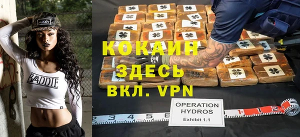 гидра Кинешма