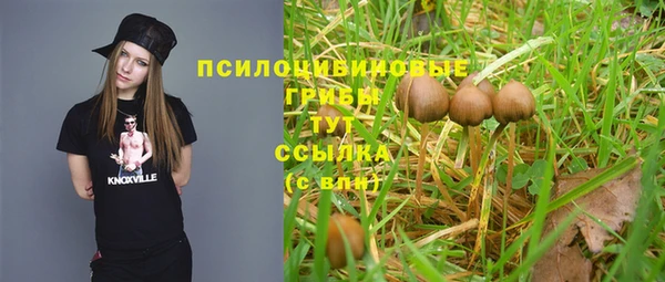 гидра Кинешма
