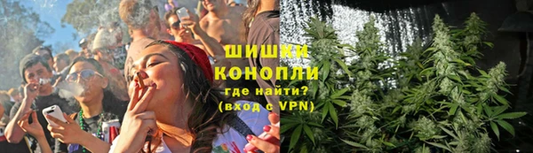 гидра Кинешма